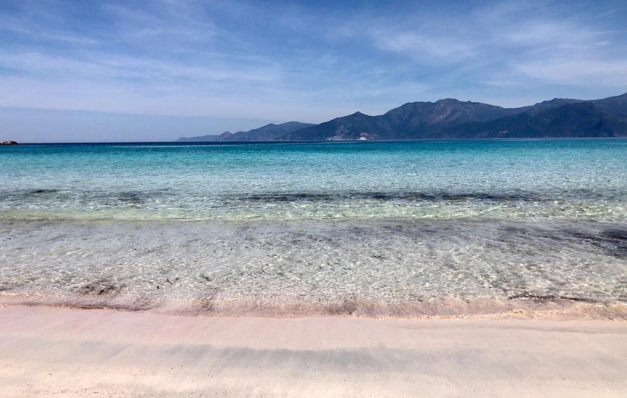Studio, Vue Sur Mer Et Montagne Saint-Florent  Ngoại thất bức ảnh