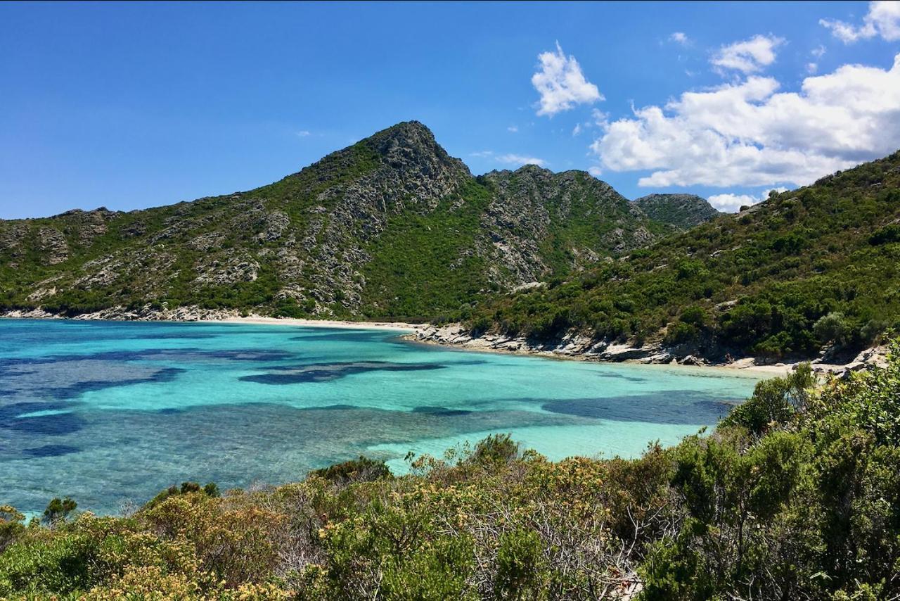 Studio, Vue Sur Mer Et Montagne Saint-Florent  Ngoại thất bức ảnh