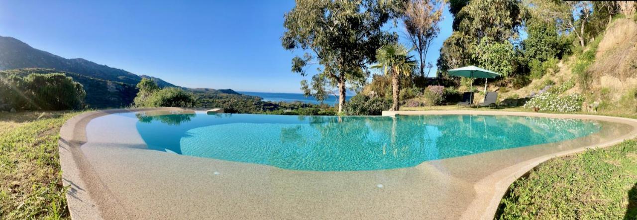 Studio, Vue Sur Mer Et Montagne Saint-Florent  Ngoại thất bức ảnh