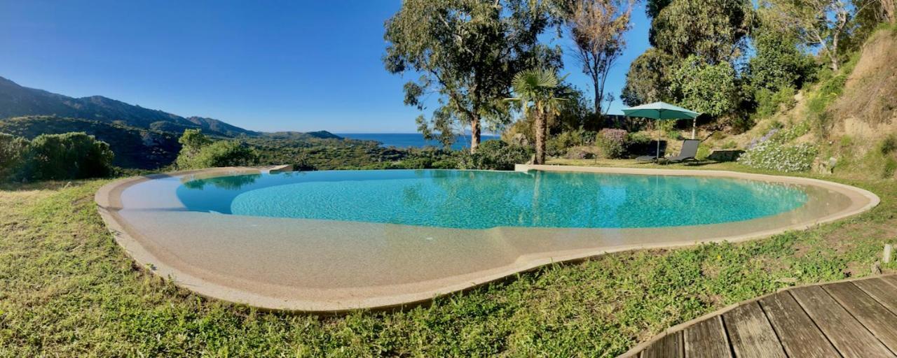 Studio, Vue Sur Mer Et Montagne Saint-Florent  Ngoại thất bức ảnh