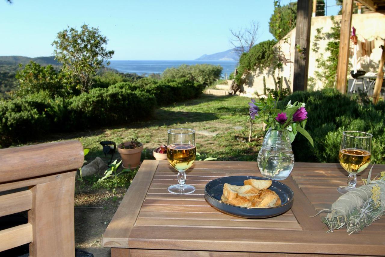 Studio, Vue Sur Mer Et Montagne Saint-Florent  Ngoại thất bức ảnh